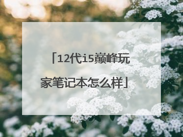 12代i5巅峰玩家笔记本怎么样
