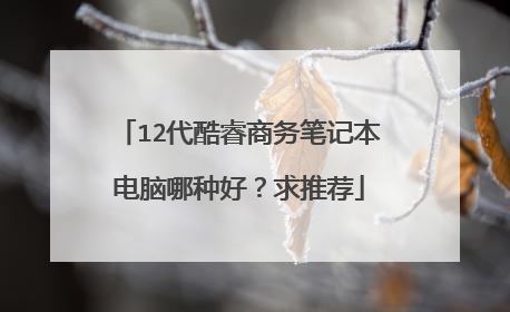 12代酷睿商务笔记本电脑哪种好?求推荐