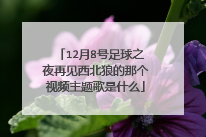 12月8号足球之夜再见西北狼的那个视频主题歌是什么