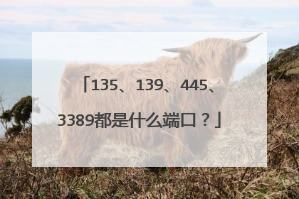 135、139、445、3389都是什么端口？