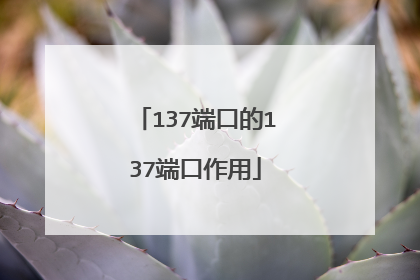 137端口的137端口作用