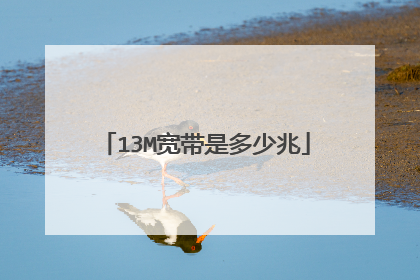 13M宽带是多少兆