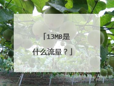 13MB是什么流量?