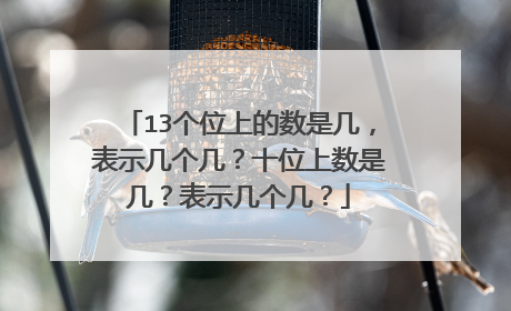 13个位上的数是几，表示几个几？十位上数是几？表示几个几？