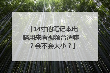 14寸的笔记本电脑用来看视频合适嘛?会不会太小?