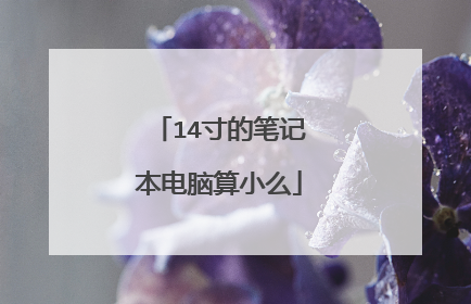 14寸的笔记本电脑算小么