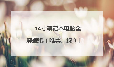 14寸笔记本电脑全屏壁纸（唯美、绿）