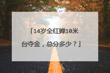 14岁全红婵10米台夺金,总分多少?
