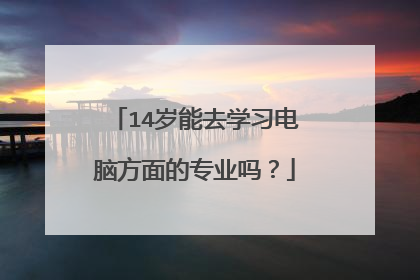 14岁能去学习电脑方面的专业吗？
