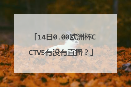 14日0.00欧洲杯CCTV5有没有直播？
