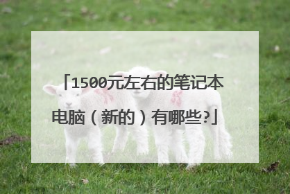 1500元左右的笔记本电脑(新的)有哪些?