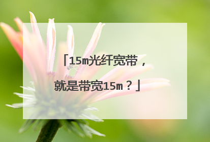 15m光纤宽带，就是带宽15m？