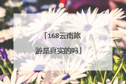 168云南旅游是真实的吗