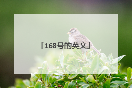 168号的英文