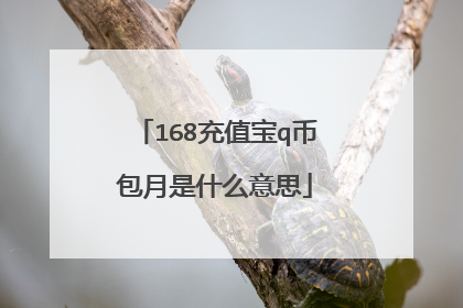 168充值宝q币包月是什么意思
