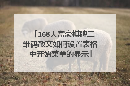168大富豪棋牌二维码散文如何设置表格中开始菜单的显示