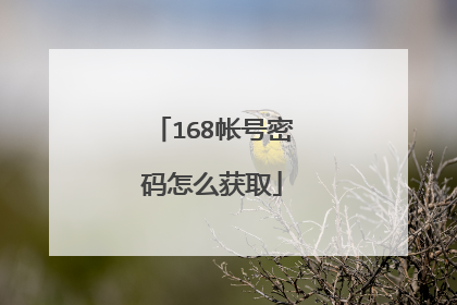 168帐号密码怎么获取