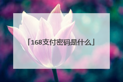 168支付密码是什么