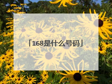 168是什么号码
