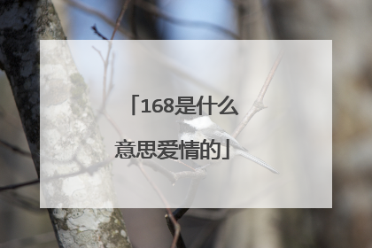 168是什么意思爱情的