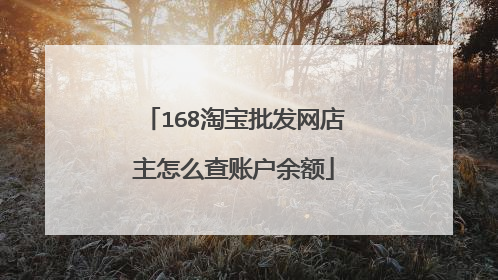 168淘宝批发网店主怎么查账户余额