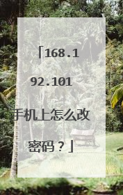 168.192.101手机上怎么改密码？