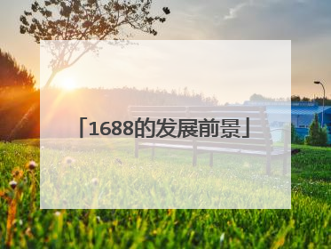 1688的发展前景