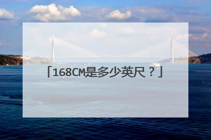 168CM是多少英尺？