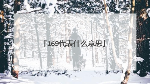169代表什么意思