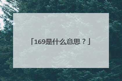 169是什么意思?