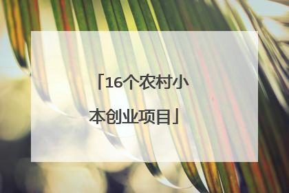 16个农村小本创业项目