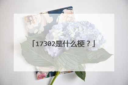 17302是什么梗？