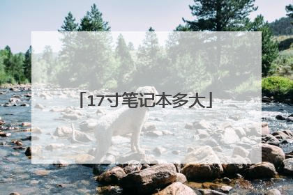 17寸笔记本多大