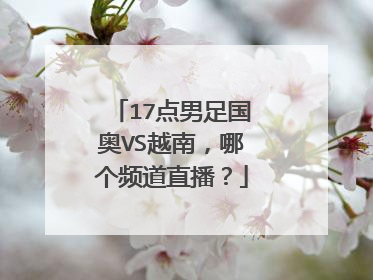 17点男足国奥VS越南，哪个频道直播？