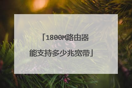 1800M路由器能支持多少兆宽带