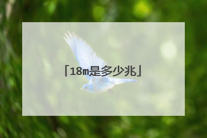 18m是多少兆