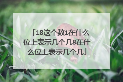 18这个数1在什么位上表示几个几8在什么位上表示几个几