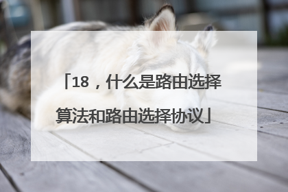 18，什么是路由选择算法和路由选择协议