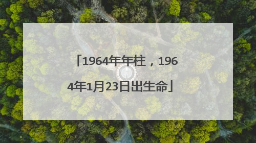 1964年年柱，1964年1月23日出生命