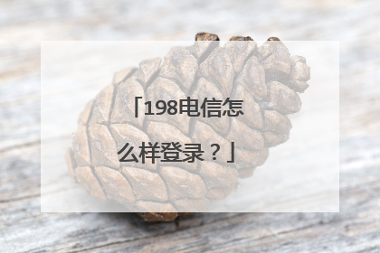198电信怎么样登录?