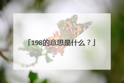 198的意思是什么?
