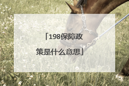 198保障政策是什么意思