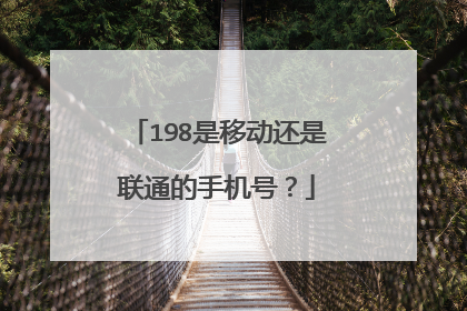 198是移动还是联通的手机号?