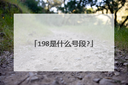 198是什么号段?