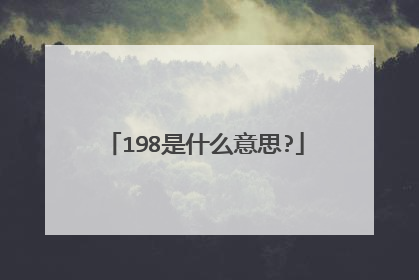 198是什么意思?