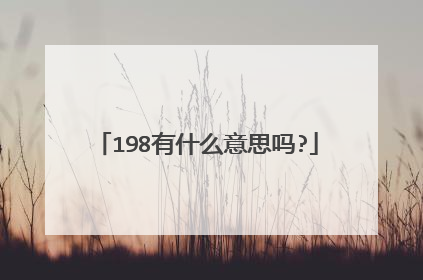 198有什么意思吗?