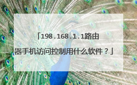 198.168.1.1路由器手机访问控制用什么软件？