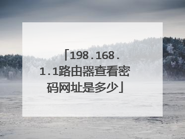198.168.1.1路由器查看密码网址是多少