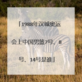 1988年汉城奥运会上中国男篮7号、8号、14号是谁