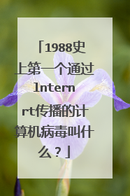 1988史上第一个通过lnternrt传播的计算机病毒叫什么?